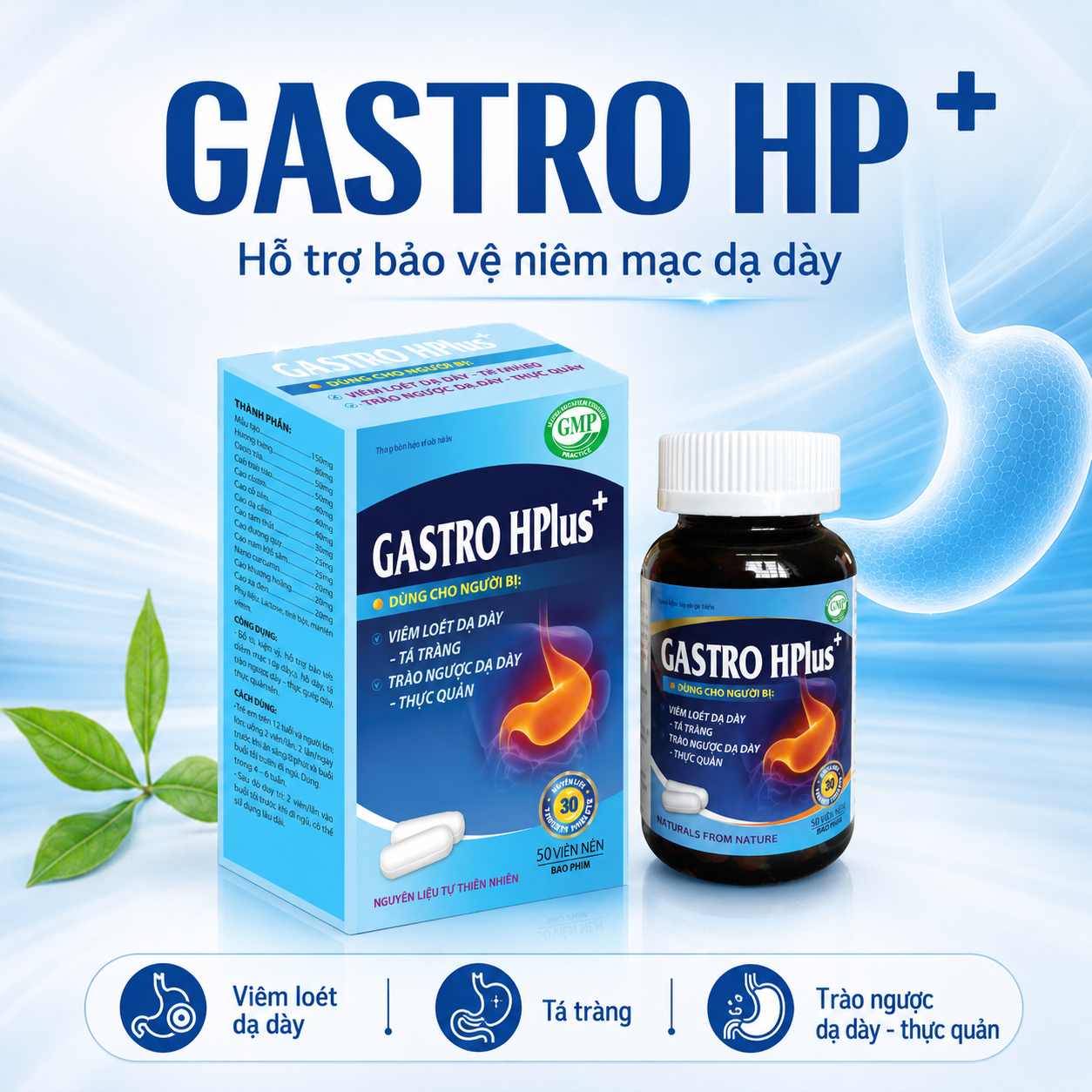 Viên Uống  Dạ Dày Gastro HP+