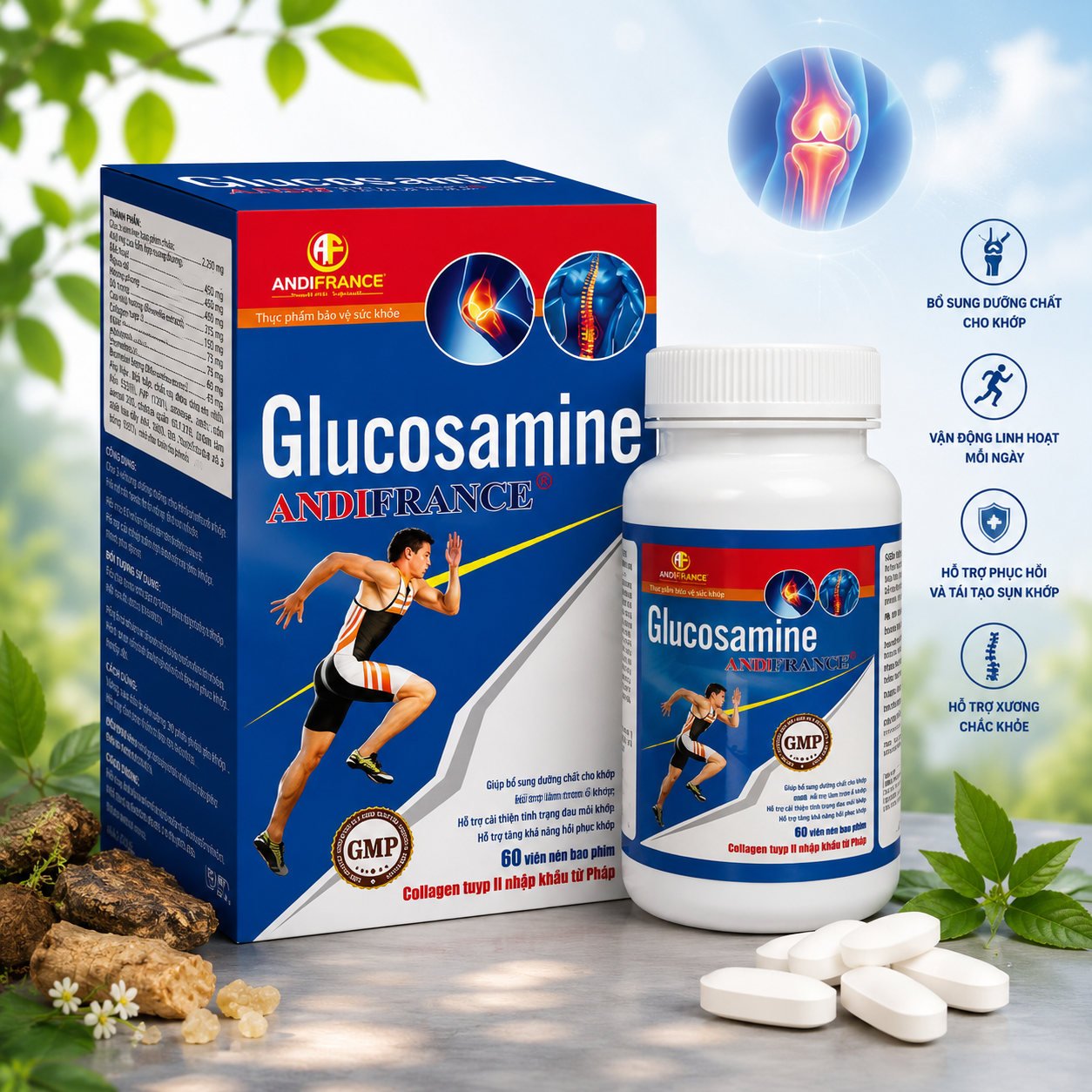 Glucosamin Andi, Hộp 60 viên