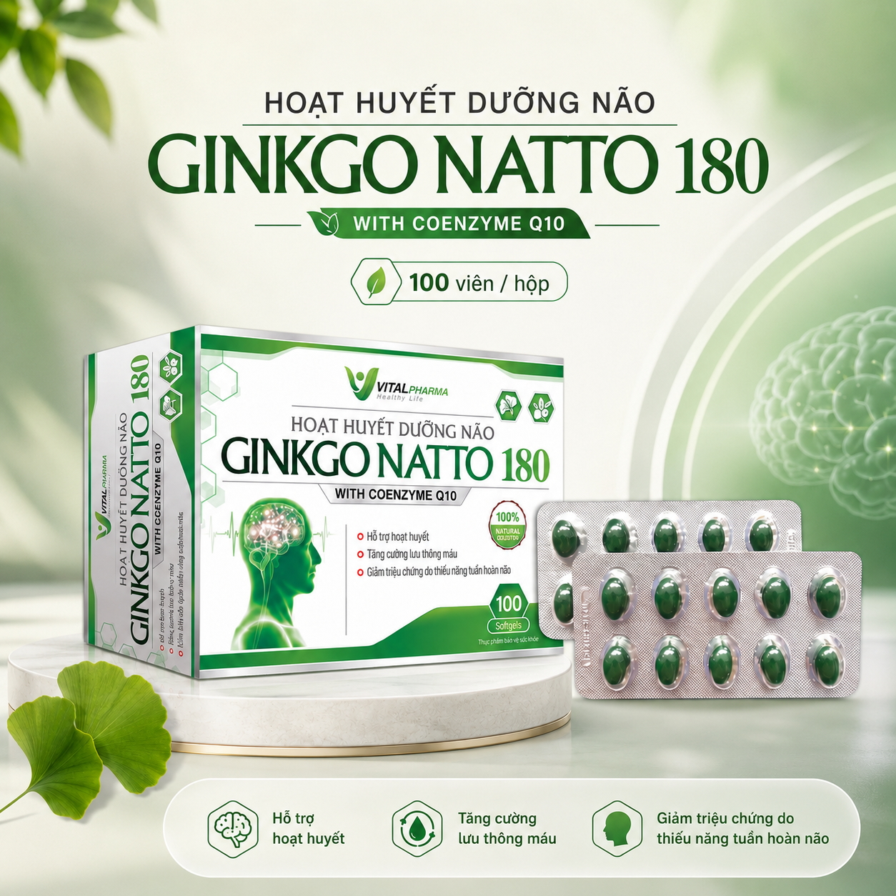 HOẠT HUYẾT DƯỠNG NÃO GINKGO NATTO 180 ( DẠNG VỈ )