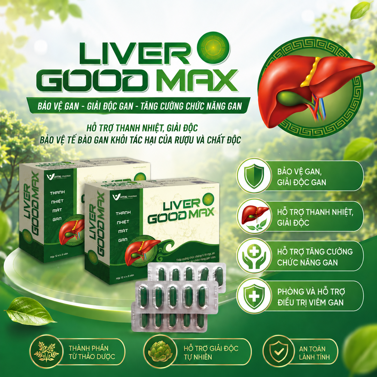 BỔ GAN LIVER GOOD MAX , Hộp 60 Viên