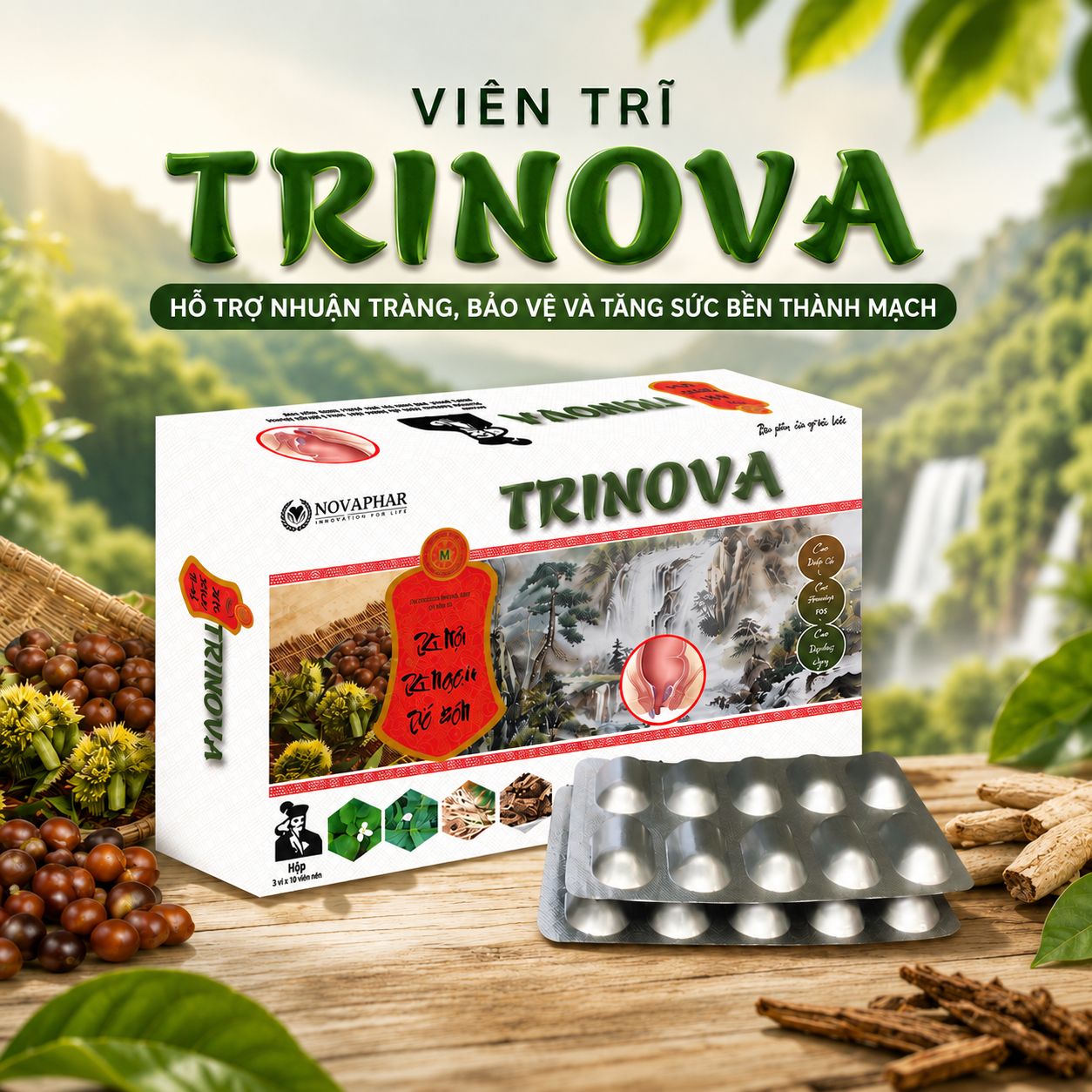 Viên Trĩ TRINOVA, Hộp 30 viên