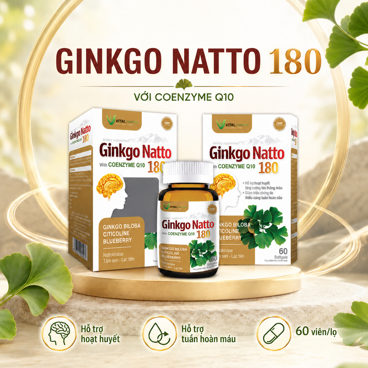 HOẠT HUYẾT GINKGO NATO 180mg ( LỌ 60 VIÊN )