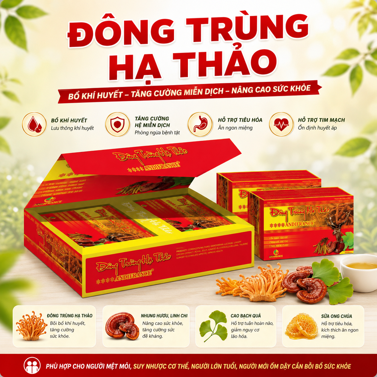 Đông Trùng Hạ Thảo Andi, Hộp 60 viên