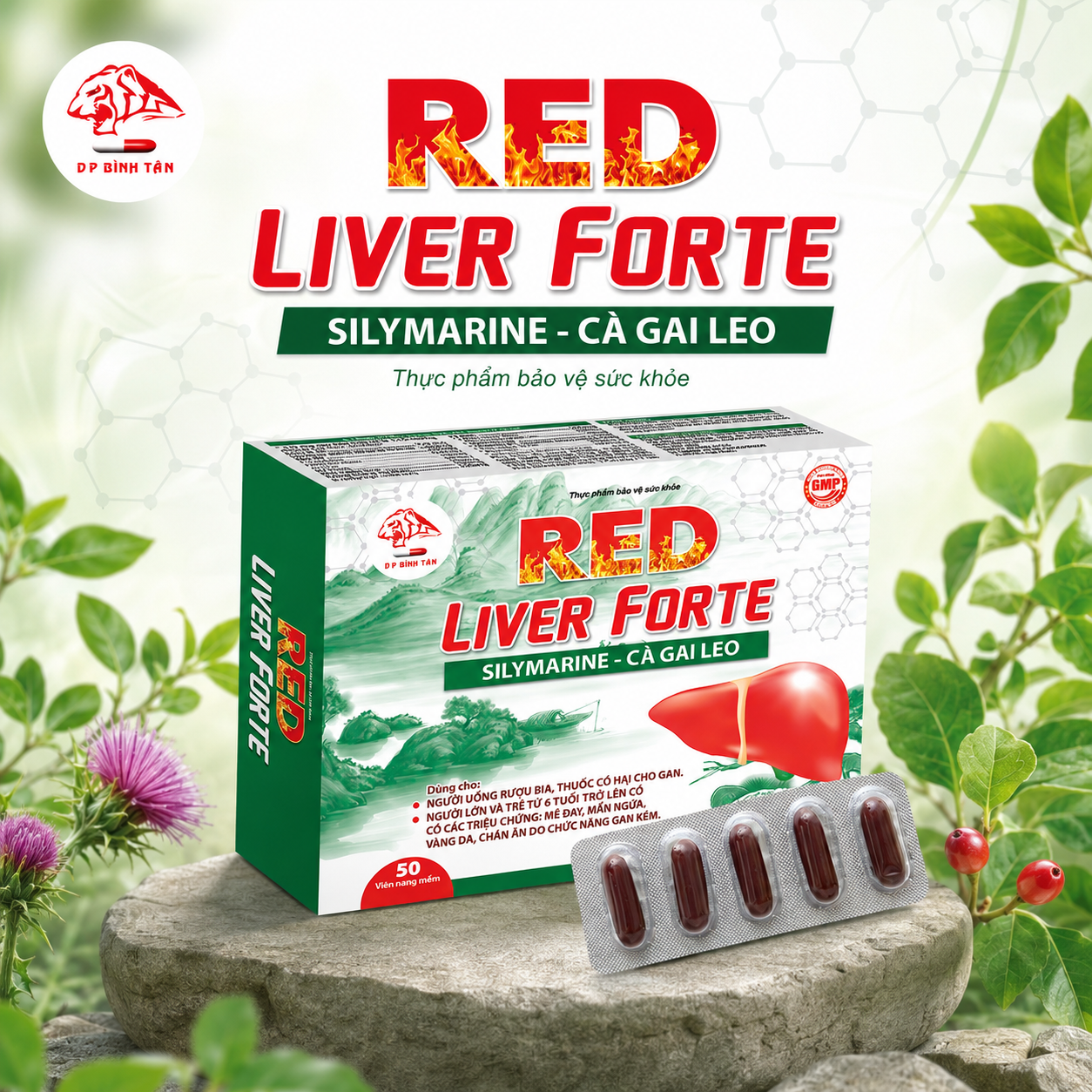 Bổ Gan Red Liver Forte, Dạng Vỉ, Hộp 50 Viên
