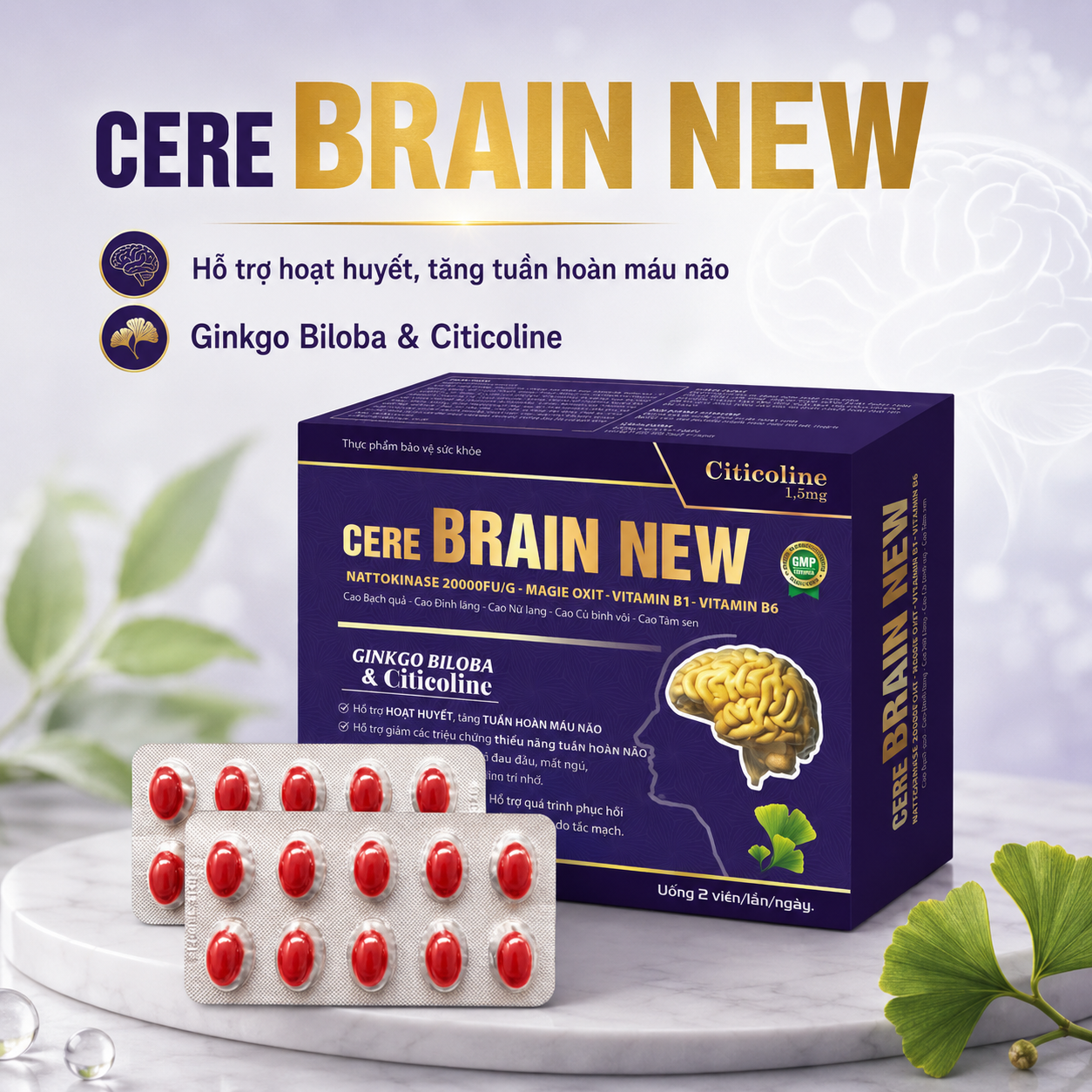 Hoạt Huyết Cere Brain New, Hộp 100 Viên